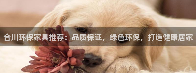 杏耀平台几年了