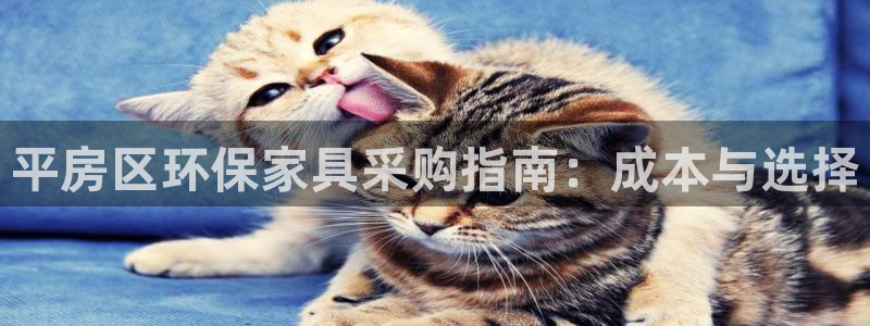 杏耀app怎样申请