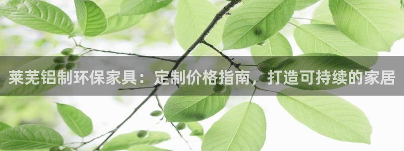 杏耀代理日工资多少