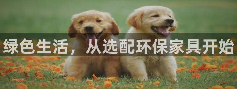 杏耀开户app下载